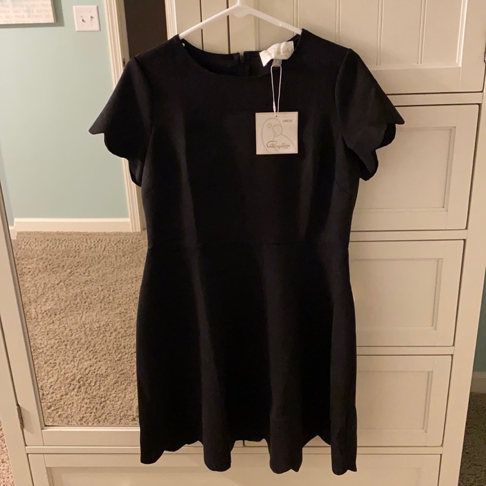 scalloped fit & flare velvet black dress NWT